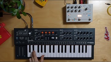 MiniFreak & Hologram Microcosm Goodness