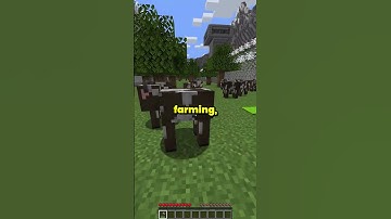 The best server of 2026 has finally released #minecraft #server #prison #gaming #shorts