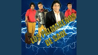 Download Lagu En Vivo Brea Pozo Download Lagu En Vivo Brea Pozo