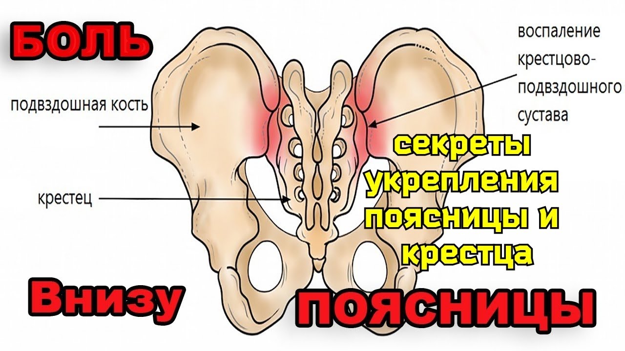 Область Крестца Фото