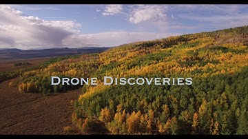 Aspen tree pull back high, Aerial, 4K, 30s, 15of34, Aspen Trees, Foliage, Mountains, Beautiful Color