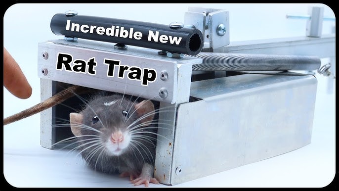 NEW!! Best Mouse Trap Ever? 