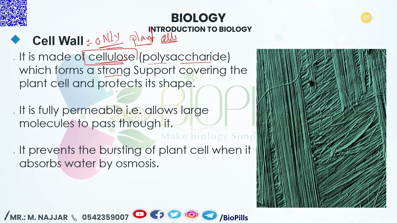 CELL WALL -- SAAT TOPIC 1 INTRODUCTION TO BIOLOGY
