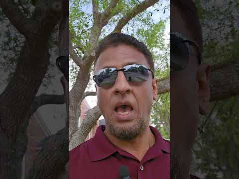 Maa ka koi HAMSAR nahi || Ek example