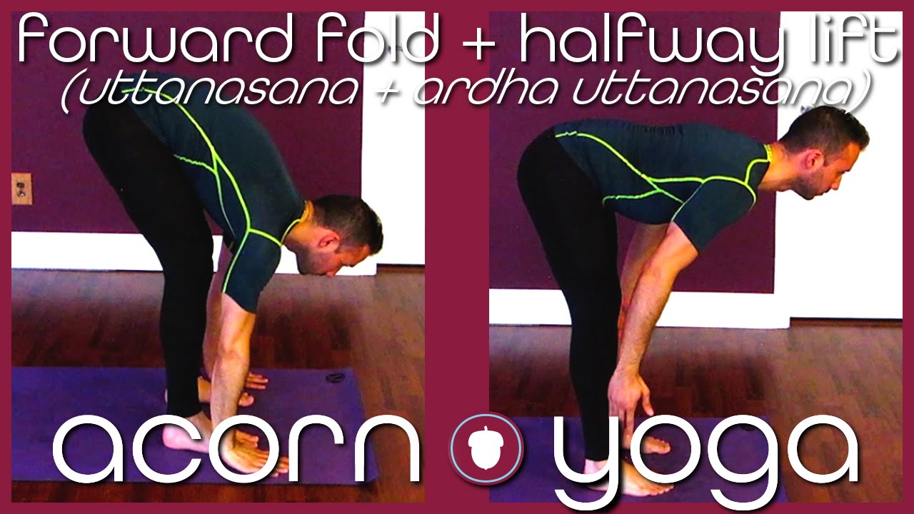 Sun Salutation (Episode 3) Forward Fold & Halfway Lift YouTube