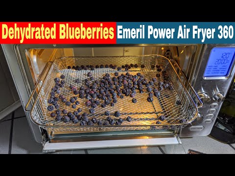 dehydrated-blueberries,-emeril-lagasse-convection-oven-air-fryer