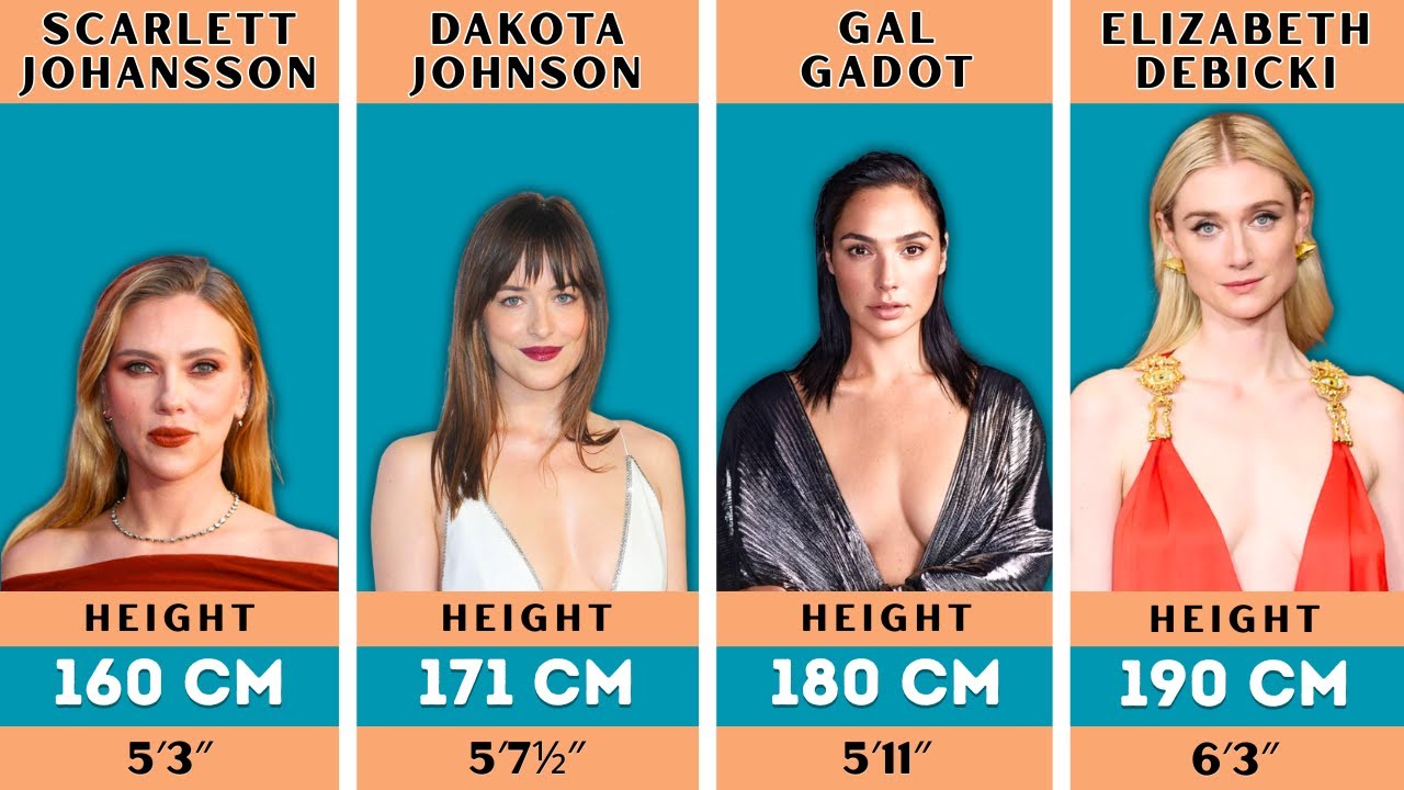 Height Comparison Over 160 CM of Hollywood Actresses | World Data Comparison | Hollywood Data