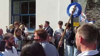 Padstow May Day 2023 blue ribbon oss by Padstow church rooms