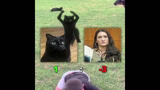 CAT PROTECTING CHILD EDIT | MEOW BOSS