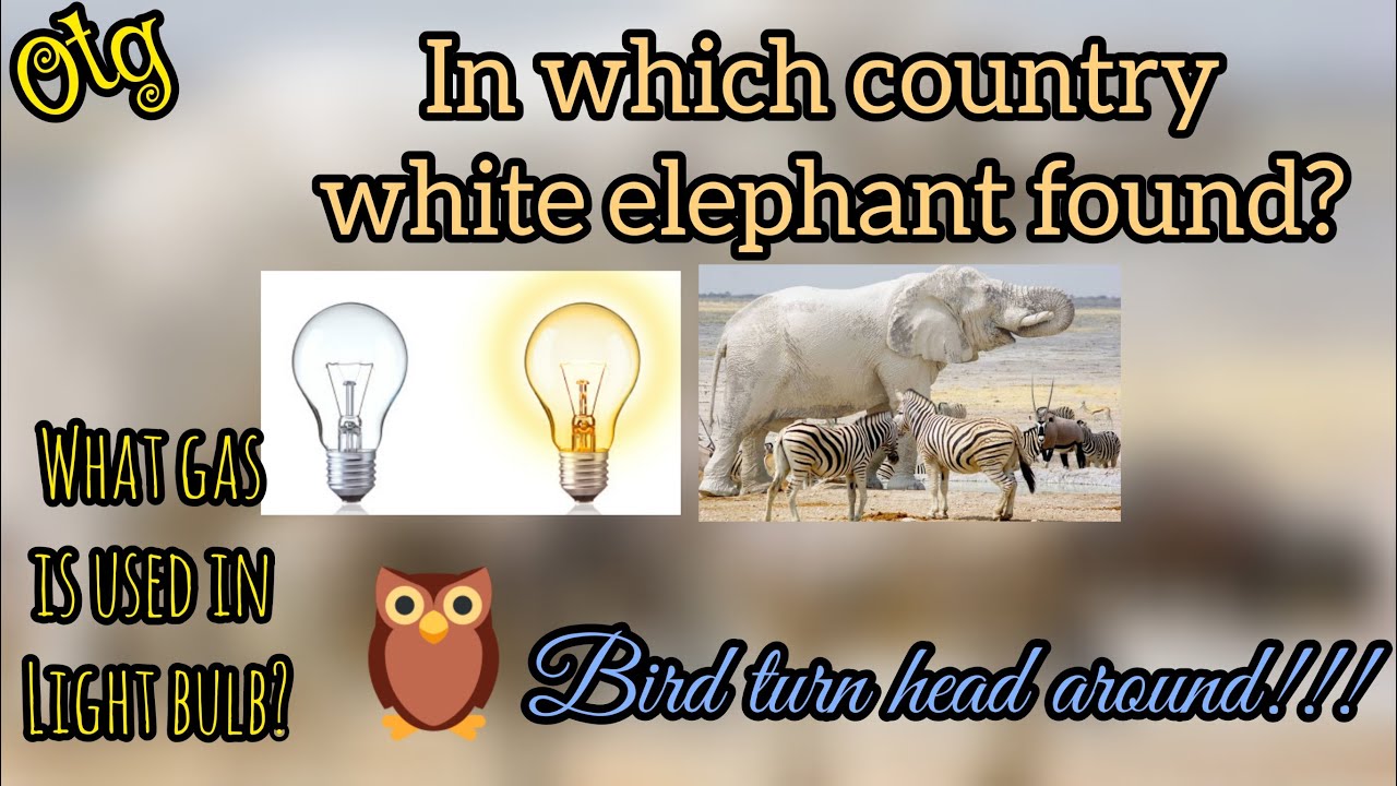 General knowledge - know the unknown facts and answers-part 2|GK ...