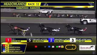Hambletonian Elimination 2 2024 - T C I & David Miller 1.50,4 1609m