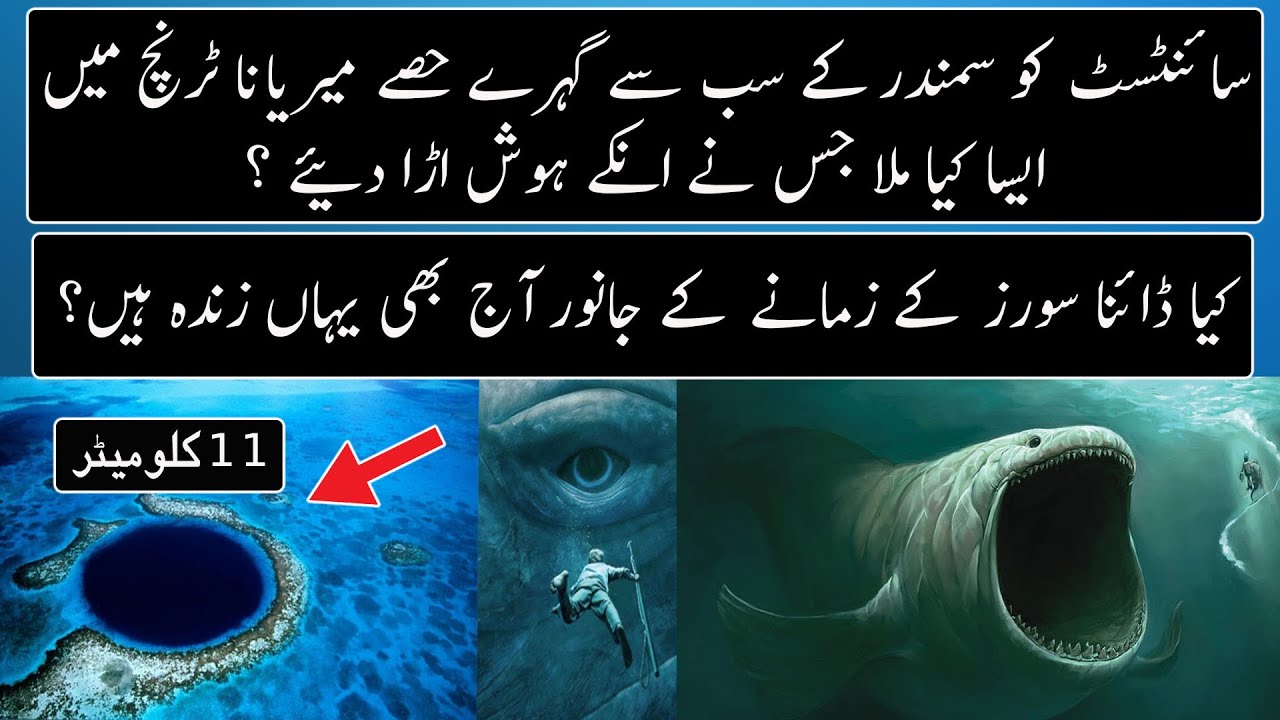 What Scientist Found Under Deepest Point Of Ocean   Urdu  Hindi