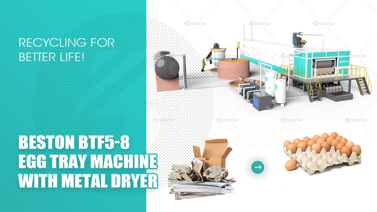 BTF5-8 5000-6000 Pieces/h Egg Tray Machine | 3D Video | Beston Group