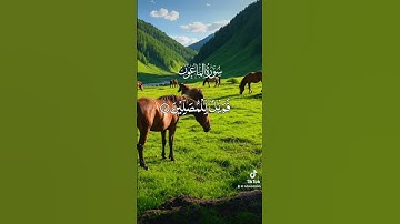 سورة الماعون #اكسبلور #الرحمن #دويتو #المراه #حالات_واتس #الظروف #duet #المصحف #راحة_نفسية #الرمال