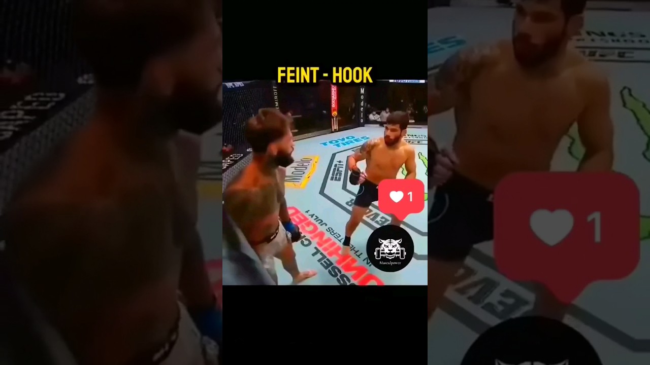 Feint hook ll super punching👊 knockout 