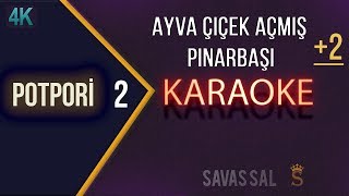 Ayva Çiçek Açmış Pınarbaşı Karaoke Resimi