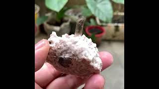 Video preview: Smoky Quartz with Feldspar — Fujian, China · 5.2 cm | Natural Mineral Specimen