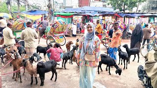 Eid Preparations ❤️ Dhaka 