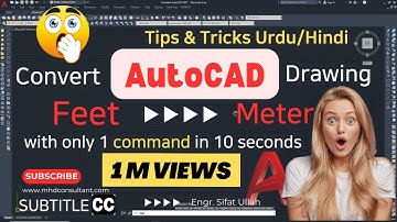 How to convert AutoCAD drawing from Feet to Meter l Change units of existing drawing in Urdu/Hindi