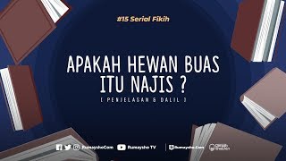 Serial Fikih #15:  Apakah Hewan Buas itu Najis?  - Rumaysho TV