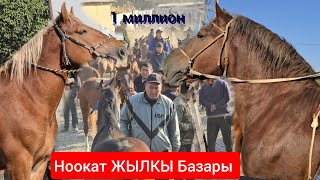картинка: НООКАТ ЖЫЛКЫ БАЗАРЫ УКМУШ КЫЗЫДЫ ПАЙ ПАЙ ПАЙ 