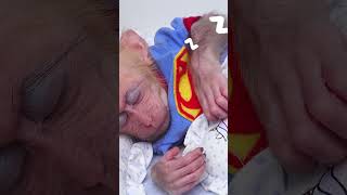 Baby Monkey Cute Sleeping