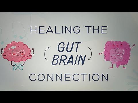 Healing the Gut Brain Connection | Vagus Nerve, Interoception and Trauma