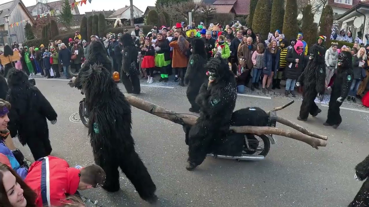Wasserburg (Bodensee)    6. Narrensprung