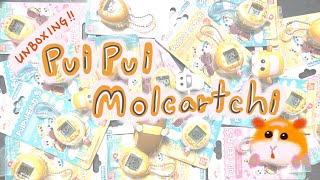 Unboxing Pui Pui Molcartchi Tamagotchi モルカっち モルモット たまごっち