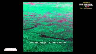 Ascanio Borga - Raw Science Loop