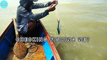 🔴CHECKING FISHING NET‼️LAKE TEMPE