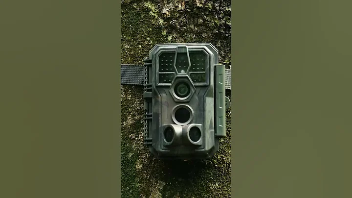 Explore the Top Trail Cameras of 2025!