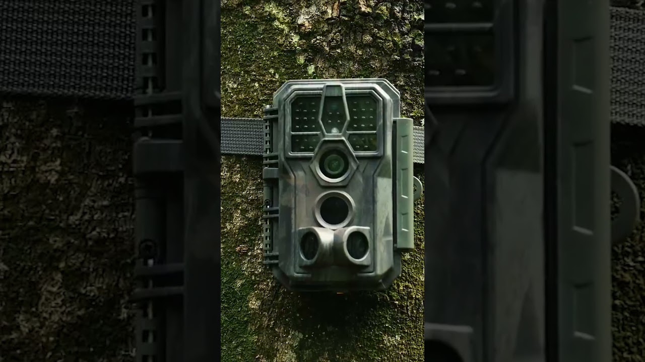 Explore the Top Trail Cameras of 2025!