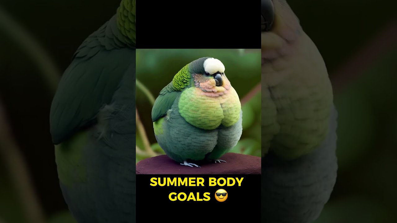Summer Body Goals 😎