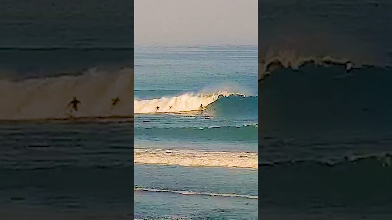 Clips