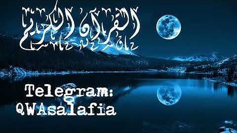 تلاوة من سورة الدخان للقارئ حازم التميمي
