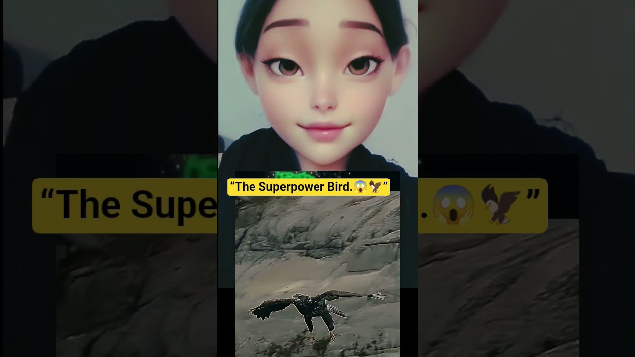 “Flying Super Bird Vs Sea Fish – Who Wins? 😱🦅” 