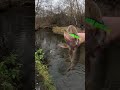 Малая речка, щука, КАЙФ, Aggressor  #norstream #fishing #рыбалка