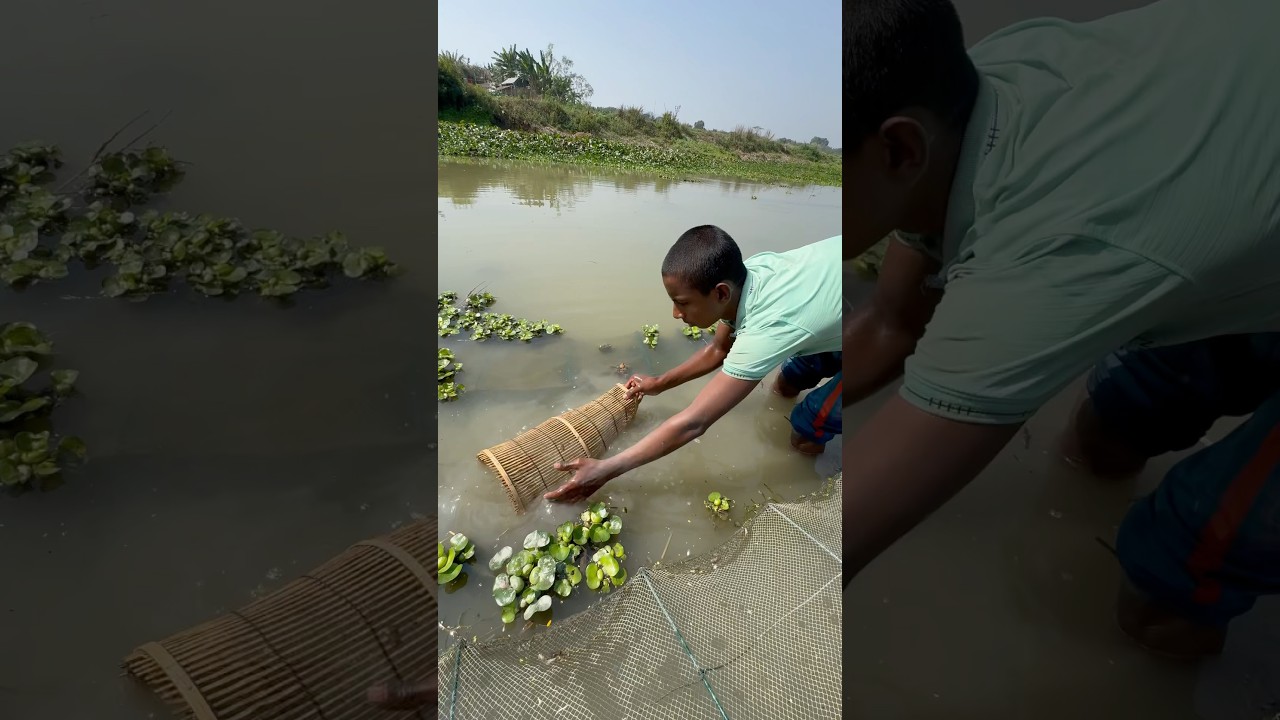 Traditional fishing with bamboo cage 