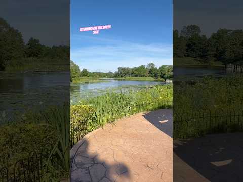 Lake Katherine Nature Center: Palos Heights’ Hidden Wild Heart of the Southwest Suburbs