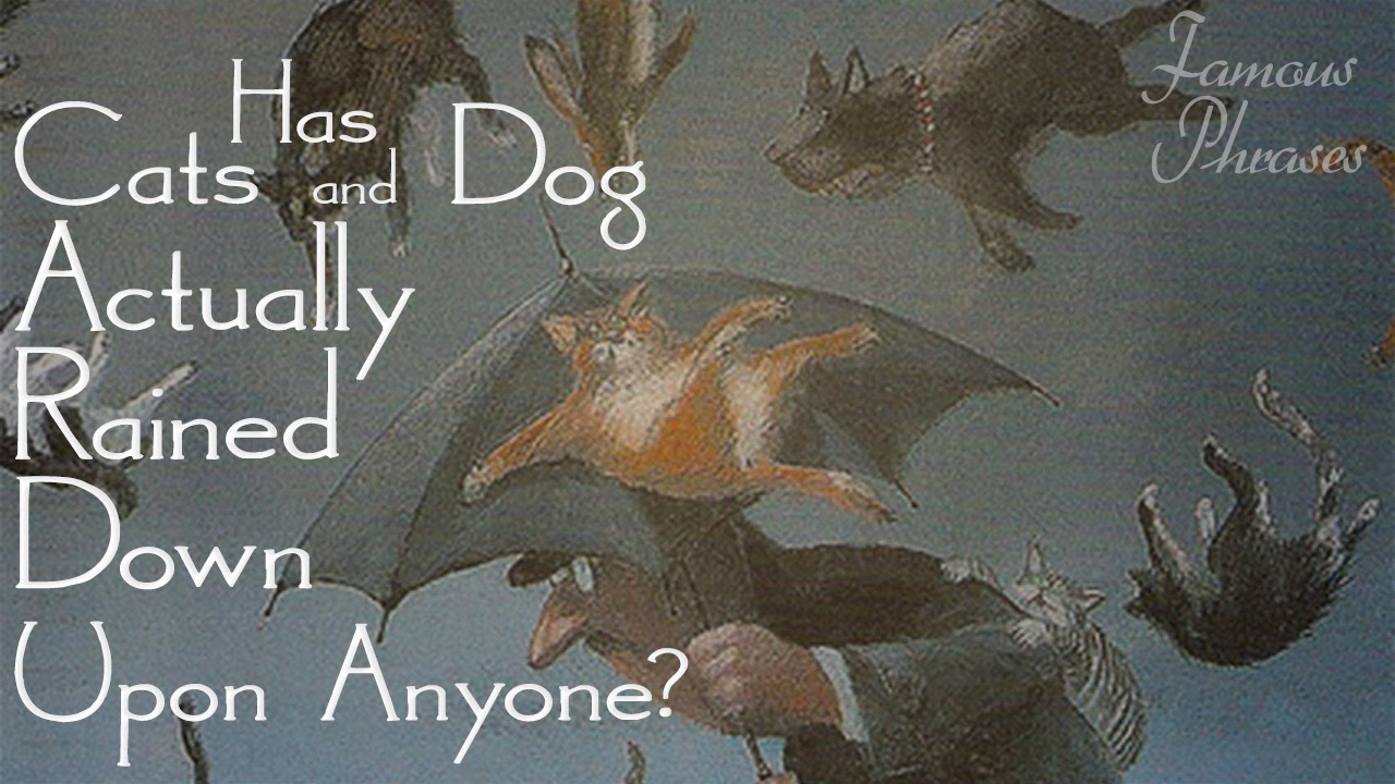 Raining Cats and Dogs Famous Phrases with Eddie Brill YouTube