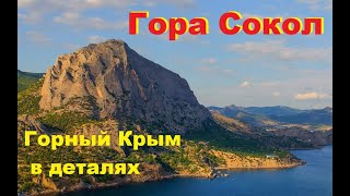Гора Сокол. Самый большой древний коралловый риф Европы