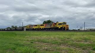 Aurizon Coal Train | Laidley QLD |