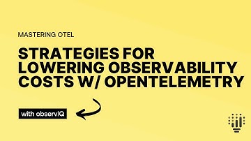 Strategies for Lowering Observability Costs