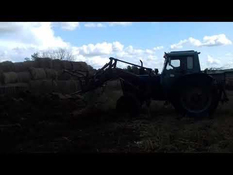 Мтз-80. Д. Толя вывозит навоз
