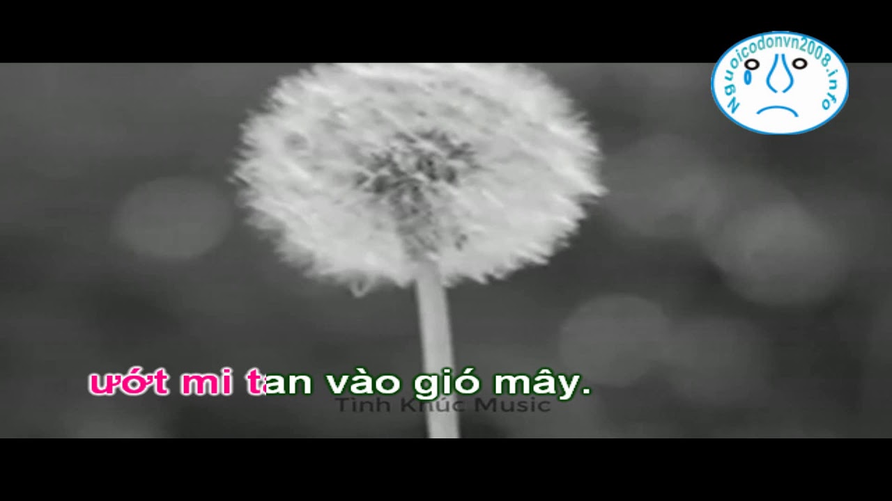 Karaoke Bồ công anh trong gió - Nam Du