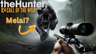 Mythical Melanistic Puma With a Diamond Elk!!! (Insane Rare) | theHunter: Call of the Wild