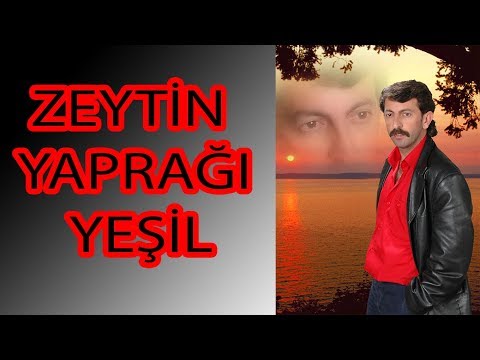 SAKARYA ÇİFTETELLİSİ (ZEYTİN YAPRAĞI YEŞİL - Yılmaz Keskin)