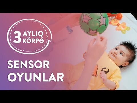 Video: 3 aylıq qayda nədir?