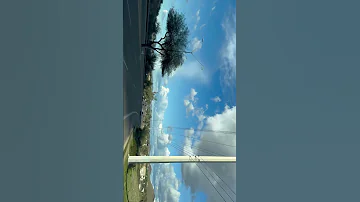 New Video 2024 Shortvideo 
